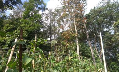Dijual Tanah dekat Daerah wisata Dago dairy Tahura Bandung