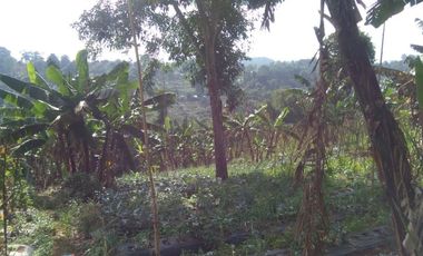 Dijual Tanah dekat Daerah wisata Dago dairy Tahura Bandung
