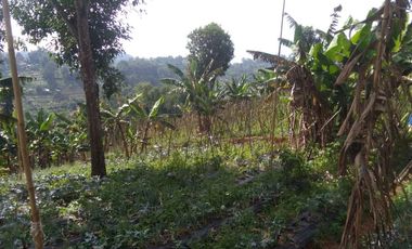 Dijual Tanah dekat Daerah wisata Dago dairy Tahura Bandung
