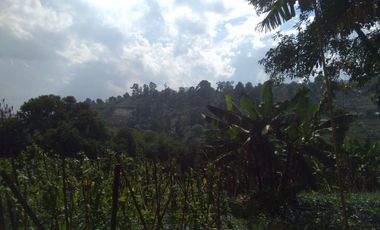 Dijual Tanah dekat Daerah wisata Dago dairy Tahura Bandung