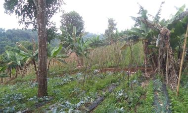 Dijual Tanah dekat Daerah wisata Dago dairy Tahura Bandung