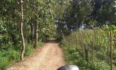 Dijual Tanah dekat Daerah wisata Dago dairy Tahura Bandung
