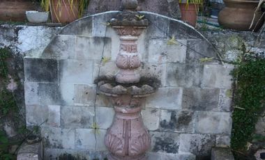 CASA EN VENTA COL. LA LOMA - CONOCIDA COMO LA PALOMA (CAMELINAS)