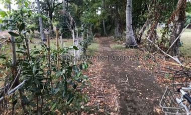 Tanah HANYA 200 meter dari Pantai Gili Air Lombok