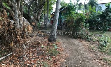Tanah HANYA 200 meter dari Pantai Gili Air Lombok