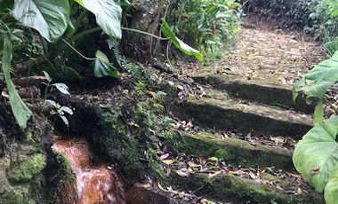 VENTA de FINCAS en ZIPACON