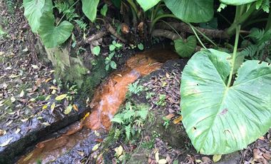 VENTA de FINCAS en ZIPACON