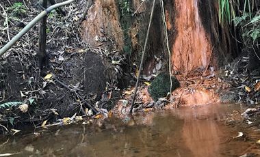 VENTA de FINCAS en ZIPACON