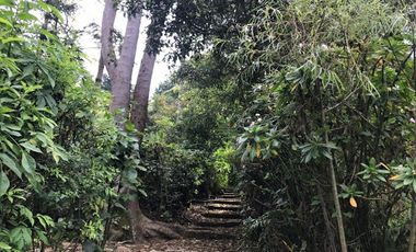 VENTA de FINCAS en ZIPACON