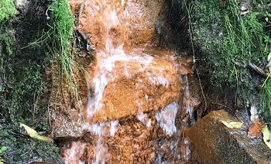 VENTA de FINCAS en ZIPACON