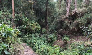 VENTA de FINCAS en ZIPACON