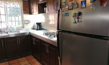 Local Comerial en Renta en Zona Centro en Celaya Gto.