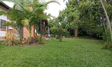 Local Comerial en Renta en Zona Centro en Celaya Gto.