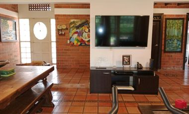 Local Comerial en Renta en Zona Centro en Celaya Gto.