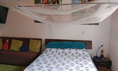 Local Comerial en Renta en Zona Centro en Celaya Gto.