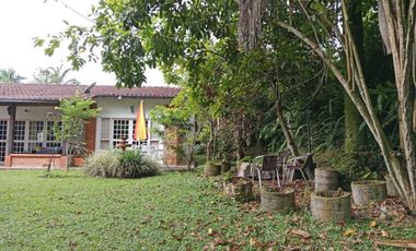 Local Comerial en Renta en Zona Centro en Celaya Gto.