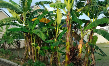 TANAH PREMIUM DAN STRATEGIS DI AREA RENON DENPASAR