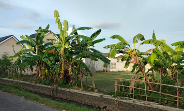 TANAH PREMIUM DAN STRATEGIS DI AREA RENON DENPASAR