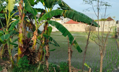 TANAH PREMIUM DAN STRATEGIS DI AREA RENON DENPASAR