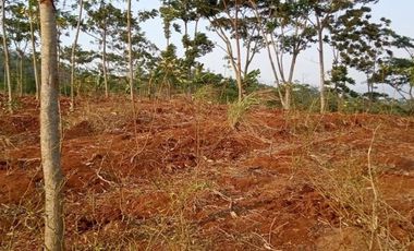 Jual Tanah Perumahan 50 Ha Di Padalarang Bandung Barat
