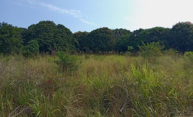 lote en venta en vía caracoli. Cod V107343