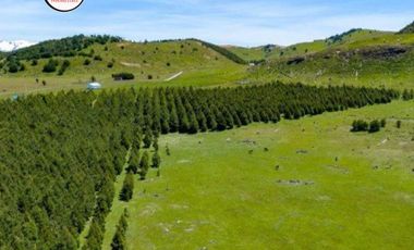 Parcela en venta en COYHAIQUE