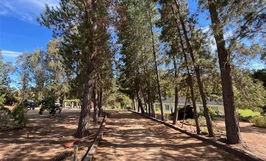 QUEBRADA HONDA Agua Profunda Orilla 84 mts Lago Rapel
