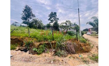 Vendo Amplio Terreno Para Inversion En Tarapoto