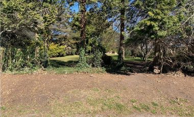 LOTE (Calle 51 e/ 32 y 34)