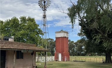 Campo en venta, Casco Antiguo en Alegre, Ranchos. 8 Has