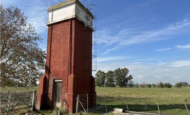 Campo en venta, 11 Has. con Casco Antiguo en Alegre, Ranchos.
