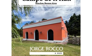 Campo en venta, 11 Has. con Casco Antiguo en Alegre, Ranchos.