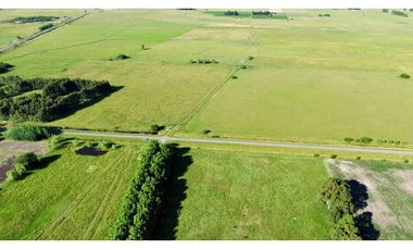 Campo en venta, 11 Has. con Casco Antiguo en Alegre, Ranchos.