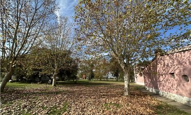 Campo en venta, Casco Antiguo en Alegre, Ranchos. 8 Has