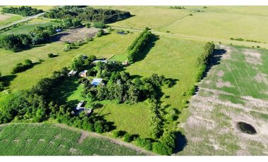 Campo en venta, 11 Has. con Casco Antiguo en Alegre, Ranchos.