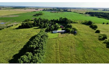 Campo en venta, 11 Has. con Casco Antiguo en Alegre, Ranchos.