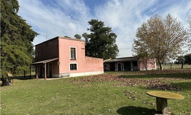 Campo en venta, Casco Antiguo en Alegre, Ranchos. 8 Has