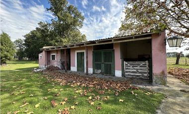 Campo en venta, Casco Antiguo en Alegre, Ranchos. 8 Has