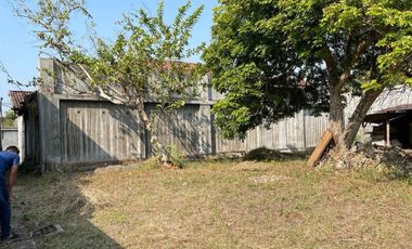 JUAL CEPAT HITUNG TANAH JALAN RAYA BOJONEGORO