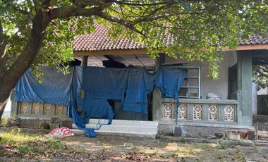 JUAL CEPAT HITUNG TANAH JALAN RAYA BOJONEGORO