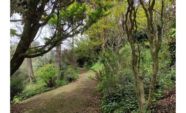 ARRIENDO CASA VITACURA LO CURRO CONDOMINIO