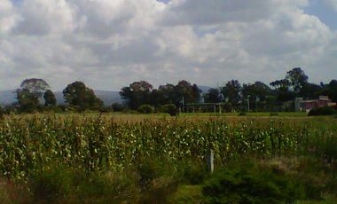 Venta deTerreno en San Martín Texmelucan mpio. San Matias Tlalancaleca