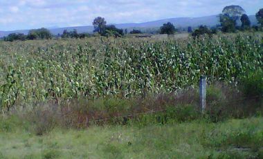 Venta deTerreno en San Martín Texmelucan mpio. San Matias Tlalancaleca