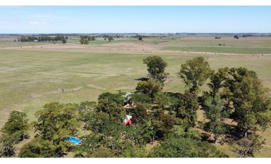Campo en venta en Brandsen. 20 Has mixto