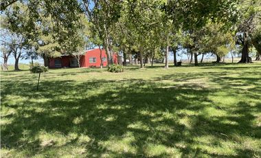 Campo en venta en Brandsen. 20 Has mixto
