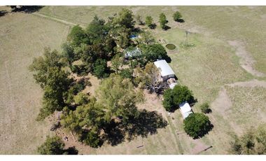 Campo en venta en Brandsen. 20 Has mixto