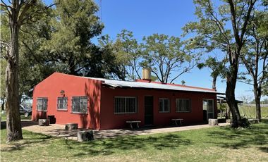 Campo en venta en Brandsen. 20 Has mixto