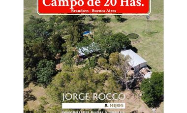 Campo en venta en Brandsen. 20 Has mixto