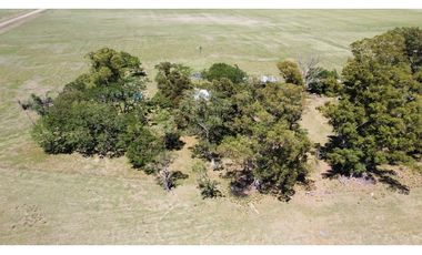 Campo en venta en Brandsen. 20 Has mixto