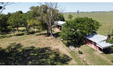 Campo en venta en Brandsen. 20 Has mixto